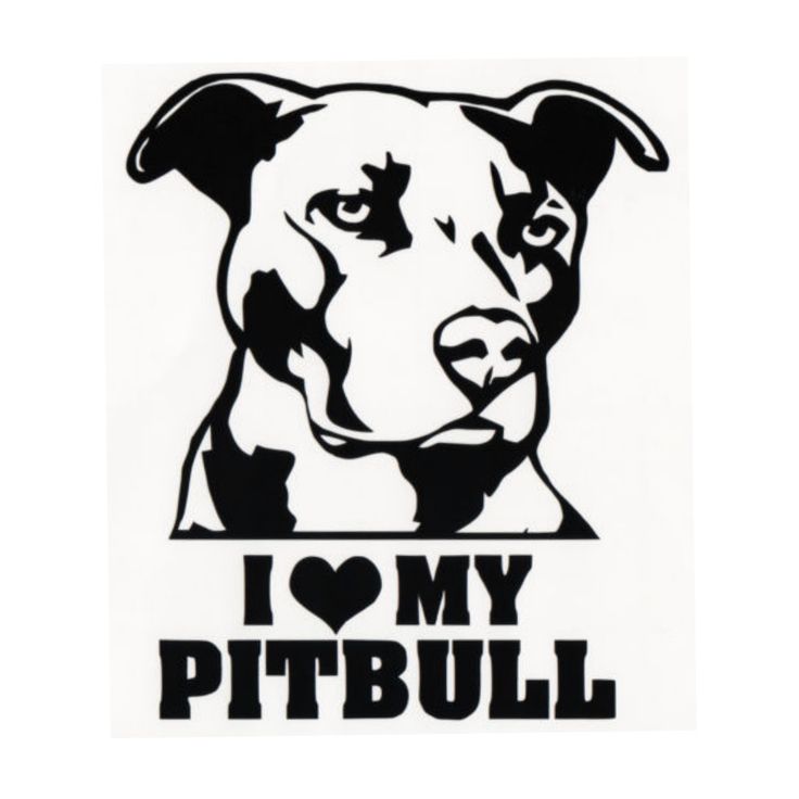 American Pit Bull Terrier svg, Download American Pit Bull Terrier svg