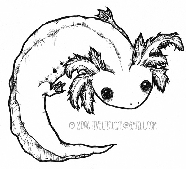 Axolotl Coloring Pages For Kids Coloring Pages