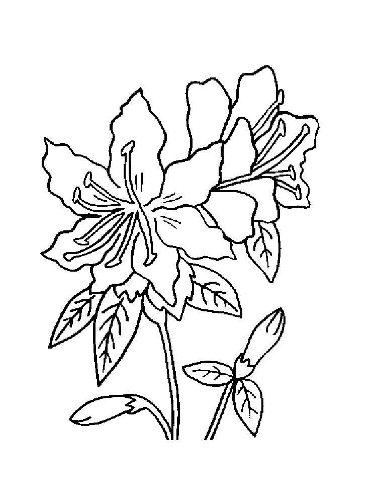 iggy azalea coloring pages to print - photo #14