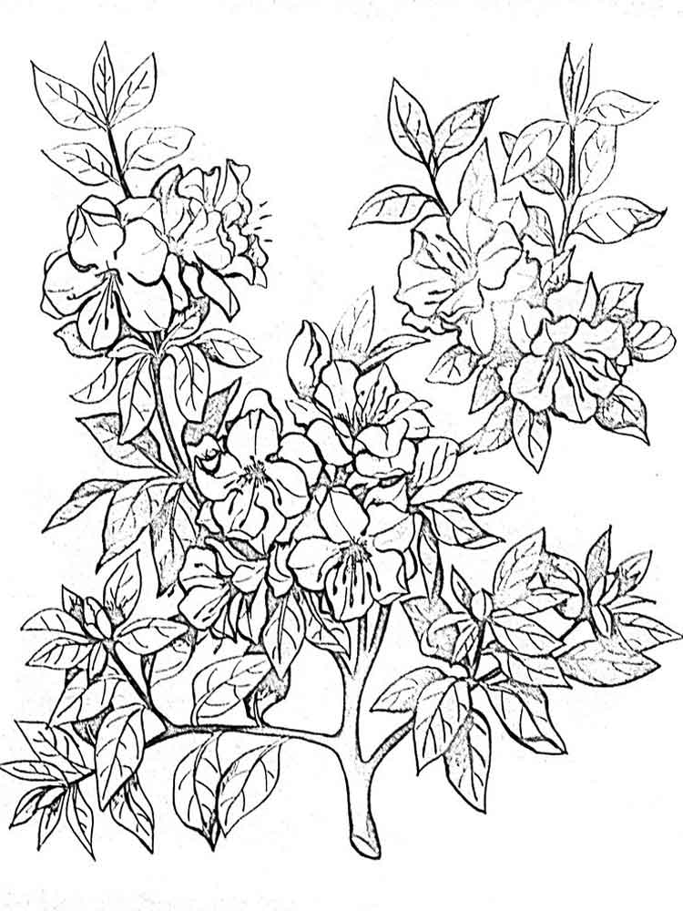 iggy azalea coloring pages to print - photo #43