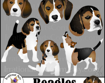 Beagle svg, Download Beagle svg for free 2019