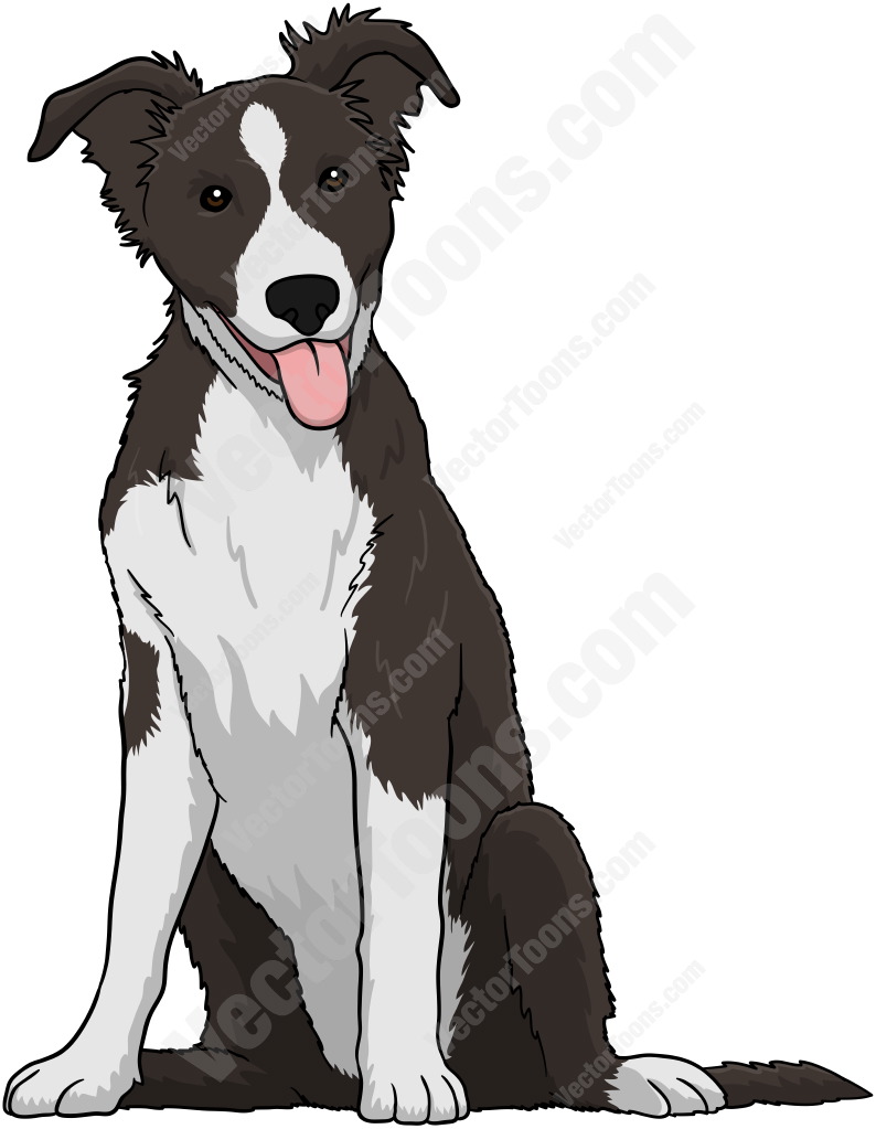 Bearded Collie clipart, Download Bearded Collie clipart