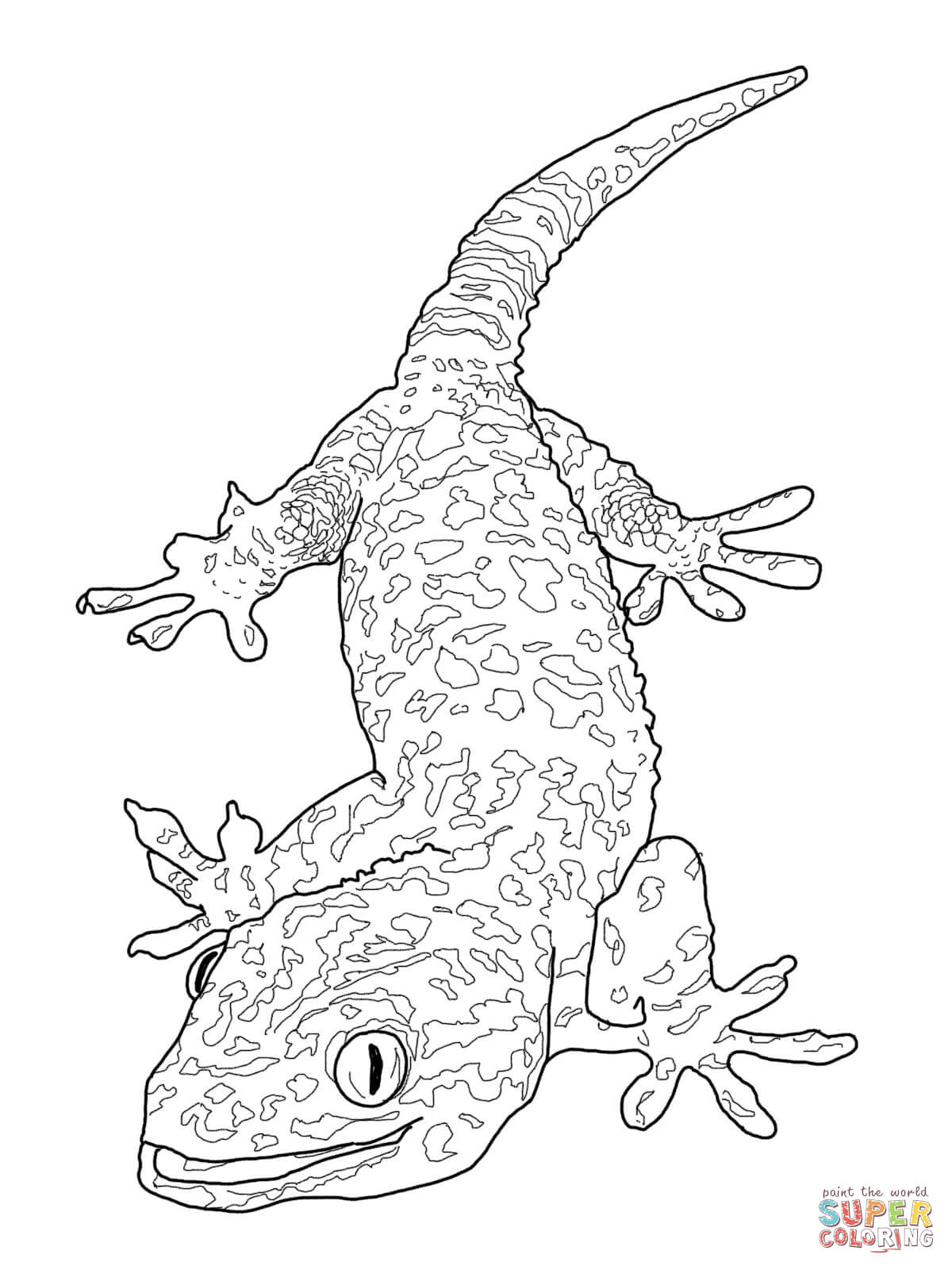Bearded Dragon coloring, Download Bearded Dragon coloring for free 2019