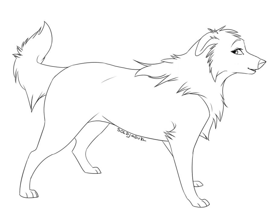 collie-coloring-download-collie-coloring-for-free-2019