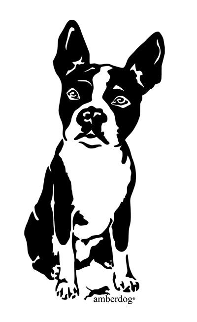 Boston Terrier Svg Free - Boston terrier face Royalty Free Vector Image