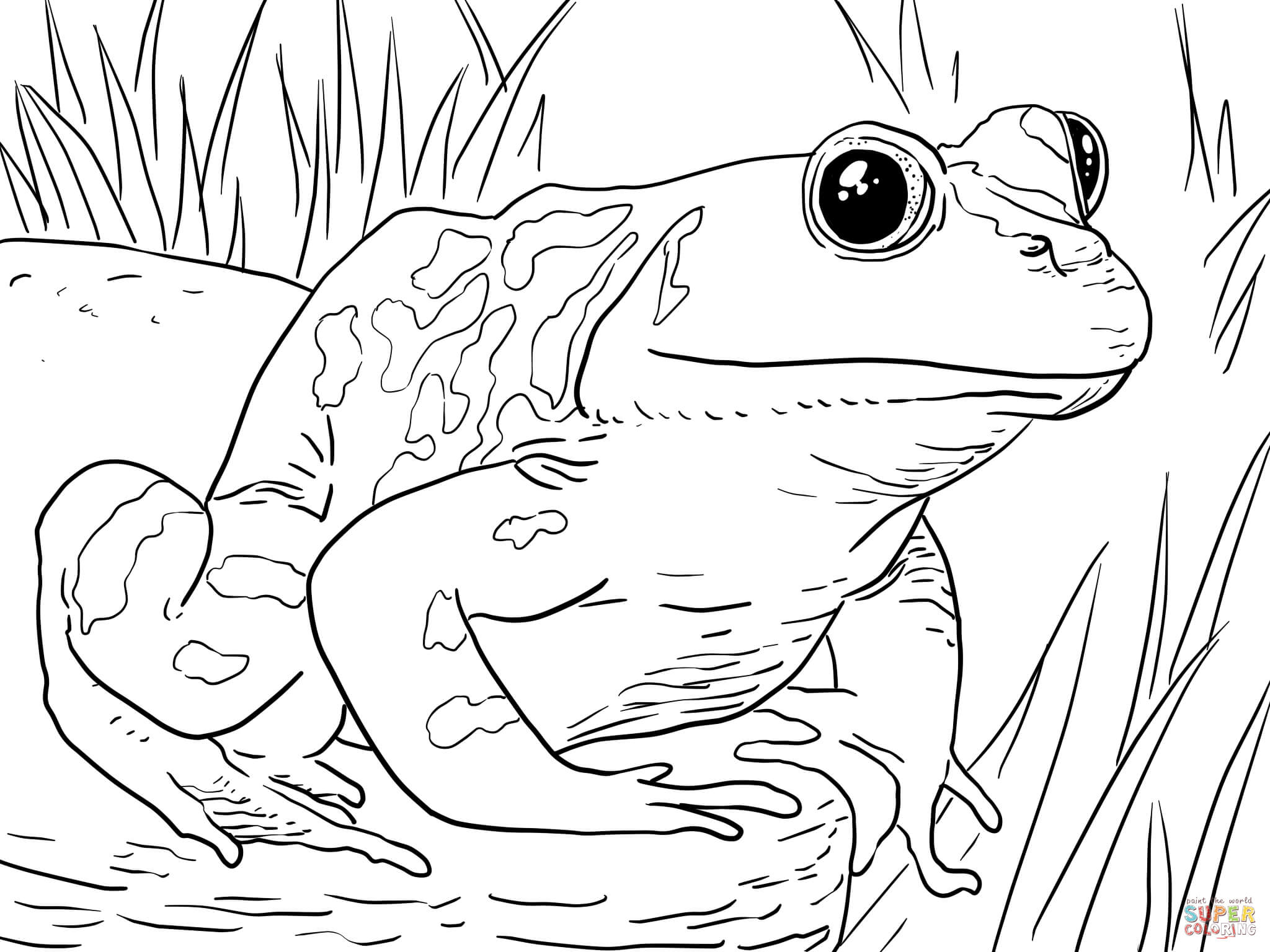 Pollywog Coloring Pages