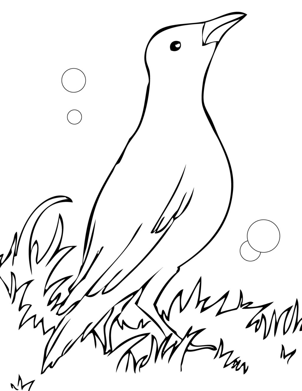 Common Blackbird coloring, Download Common Blackbird coloring for free 2019