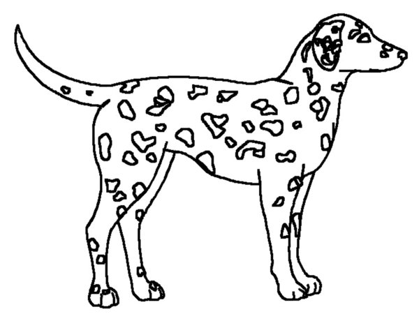 dalmation dog coloring pages - photo #37