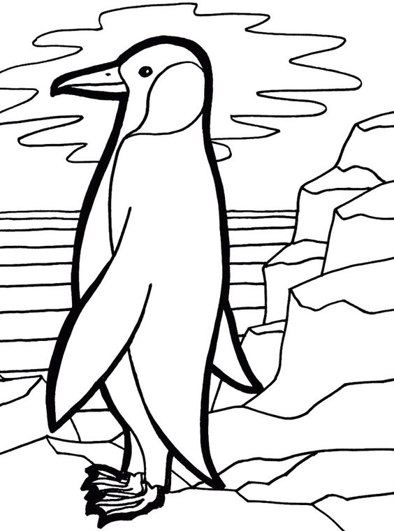 Emperor Penguin coloring, Download Emperor Penguin coloring for free 2019