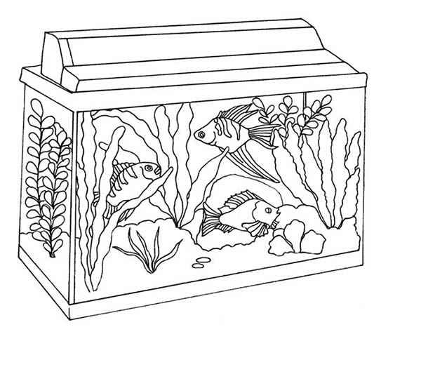 Fish Tank coloring, Download Fish Tank coloring for free 2019