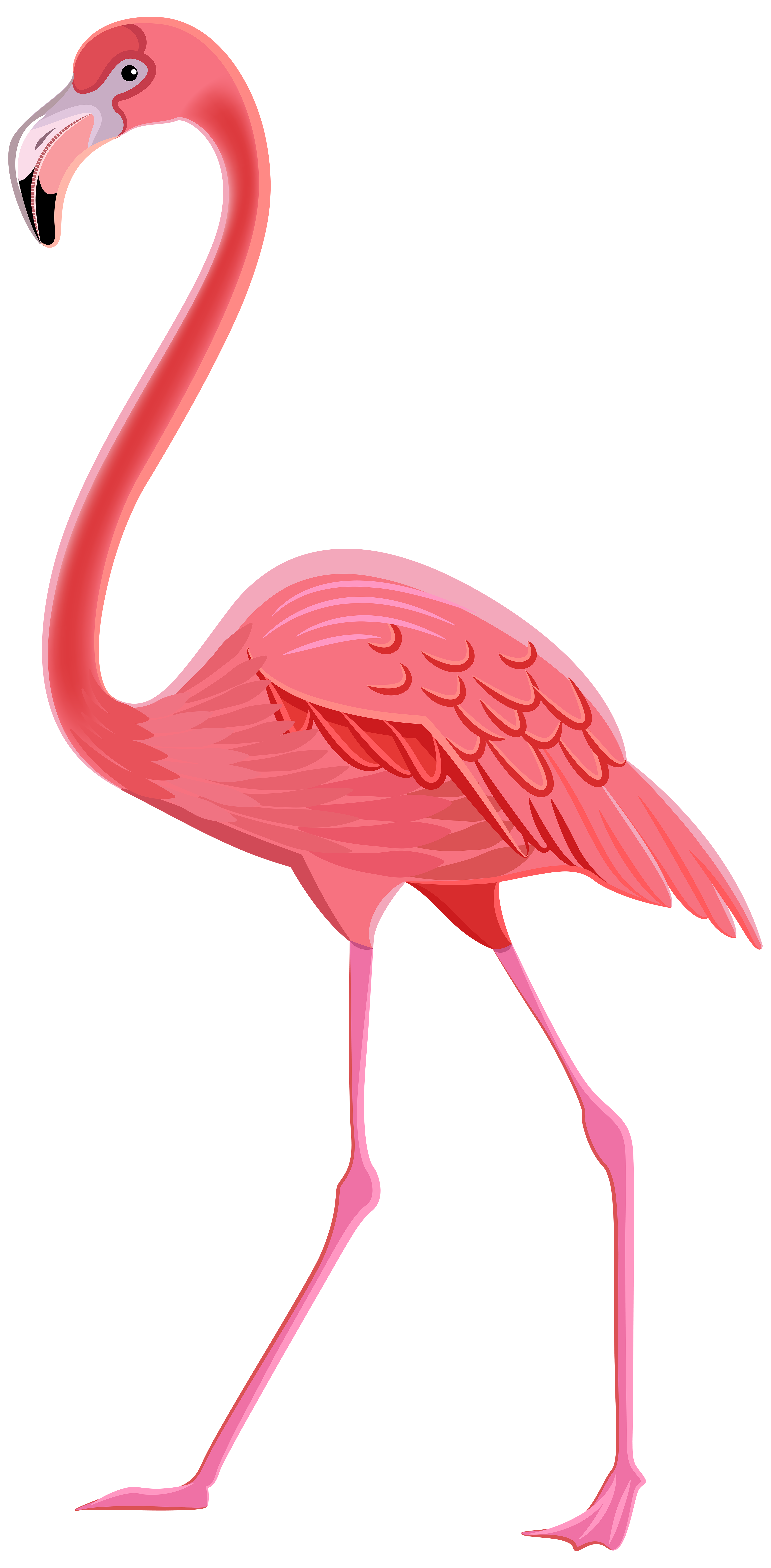 Flamingo clipart, Download Flamingo clipart for free 2019