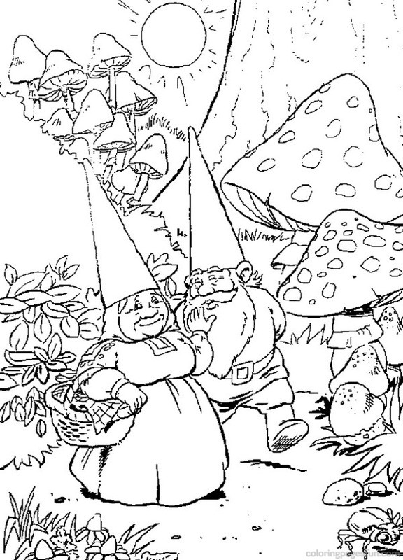 Garden Gnome coloring, Download Garden Gnome coloring for free 2019