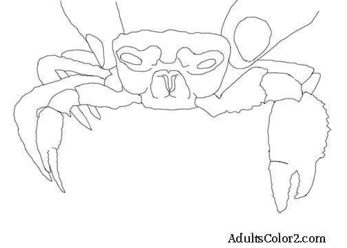 Ghost Crab coloring, Download Ghost Crab coloring for free 2019