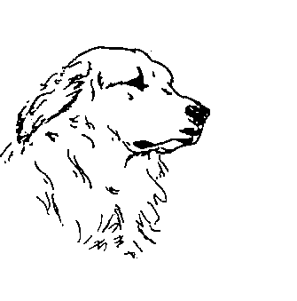 Great Pyrenees svg, Download Great Pyrenees svg for free 2019
