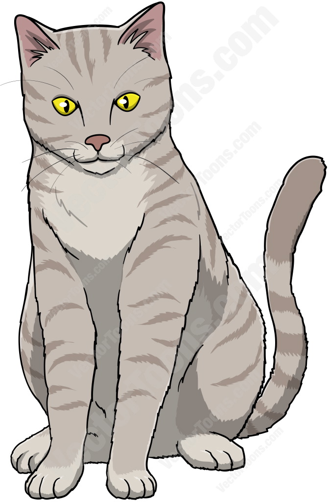 Grey Tabby clipart, Download Grey Tabby clipart for free 2019