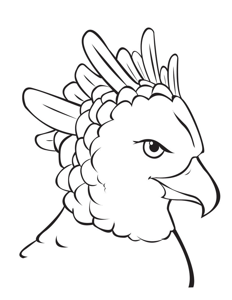 Harpy Eagle clipart, Download Harpy Eagle clipart for free 2019