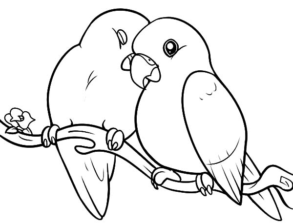 Lovebird coloring, Download Lovebird coloring for free 2019