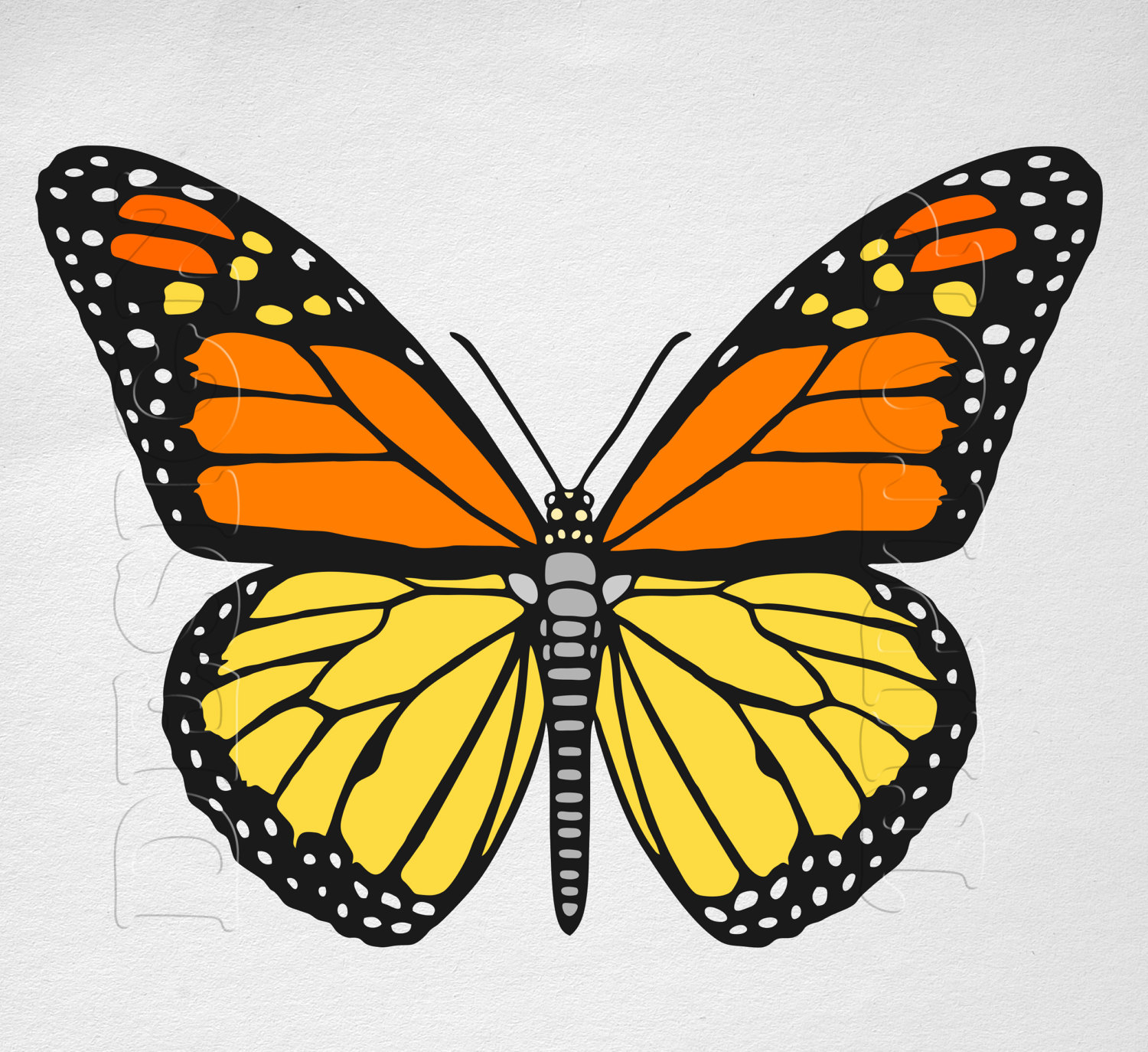 printable-monarch-butterfly-therescipes-info
