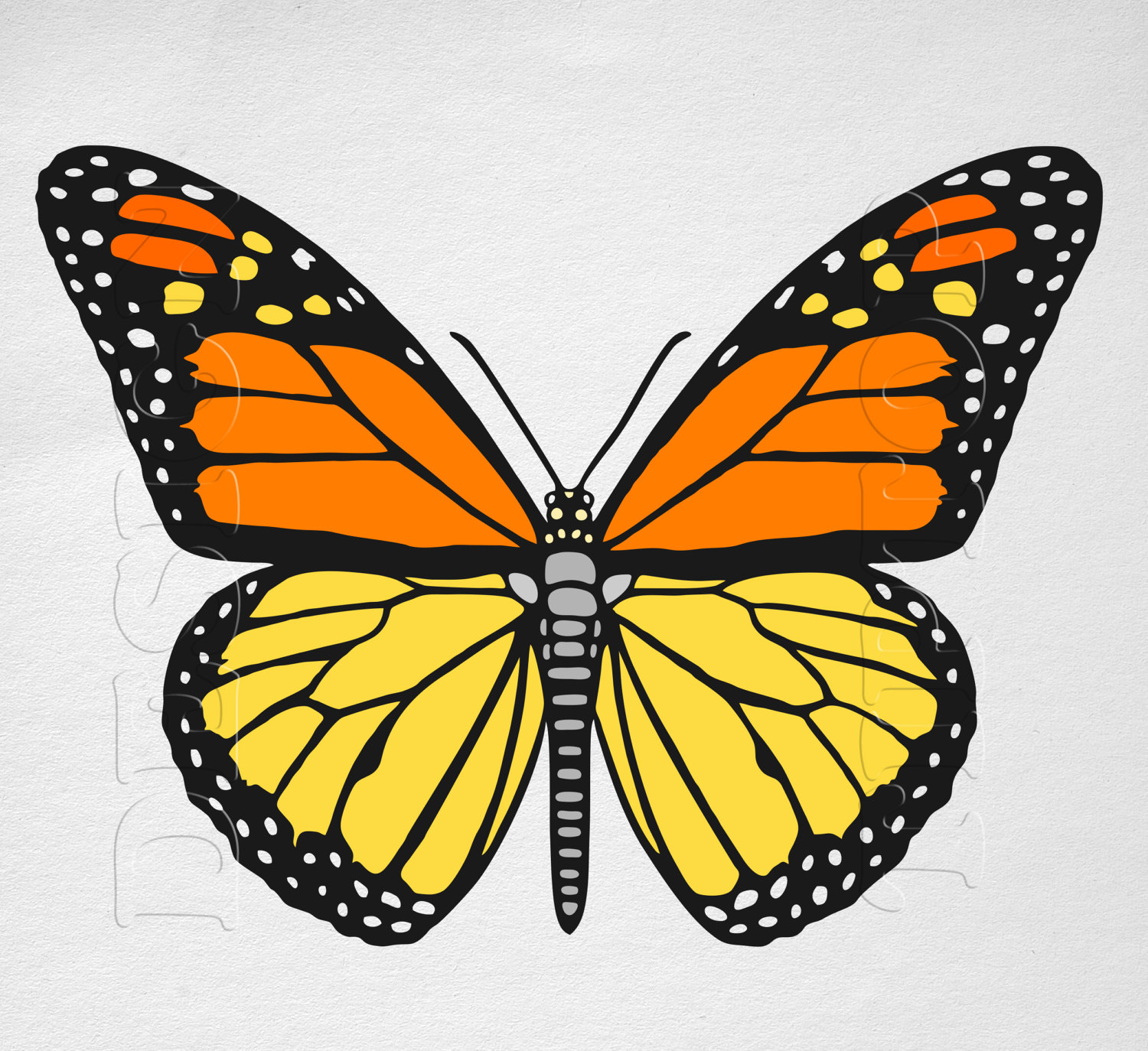 Printable Monarch Butterfly TheRescipes info