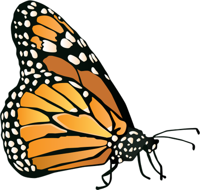 Monarch Butterfly svg, Download Monarch Butterfly svg for free 2019
