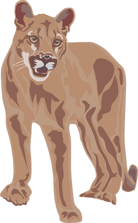 Mountain Lion svg, Download Mountain Lion svg for free 2019