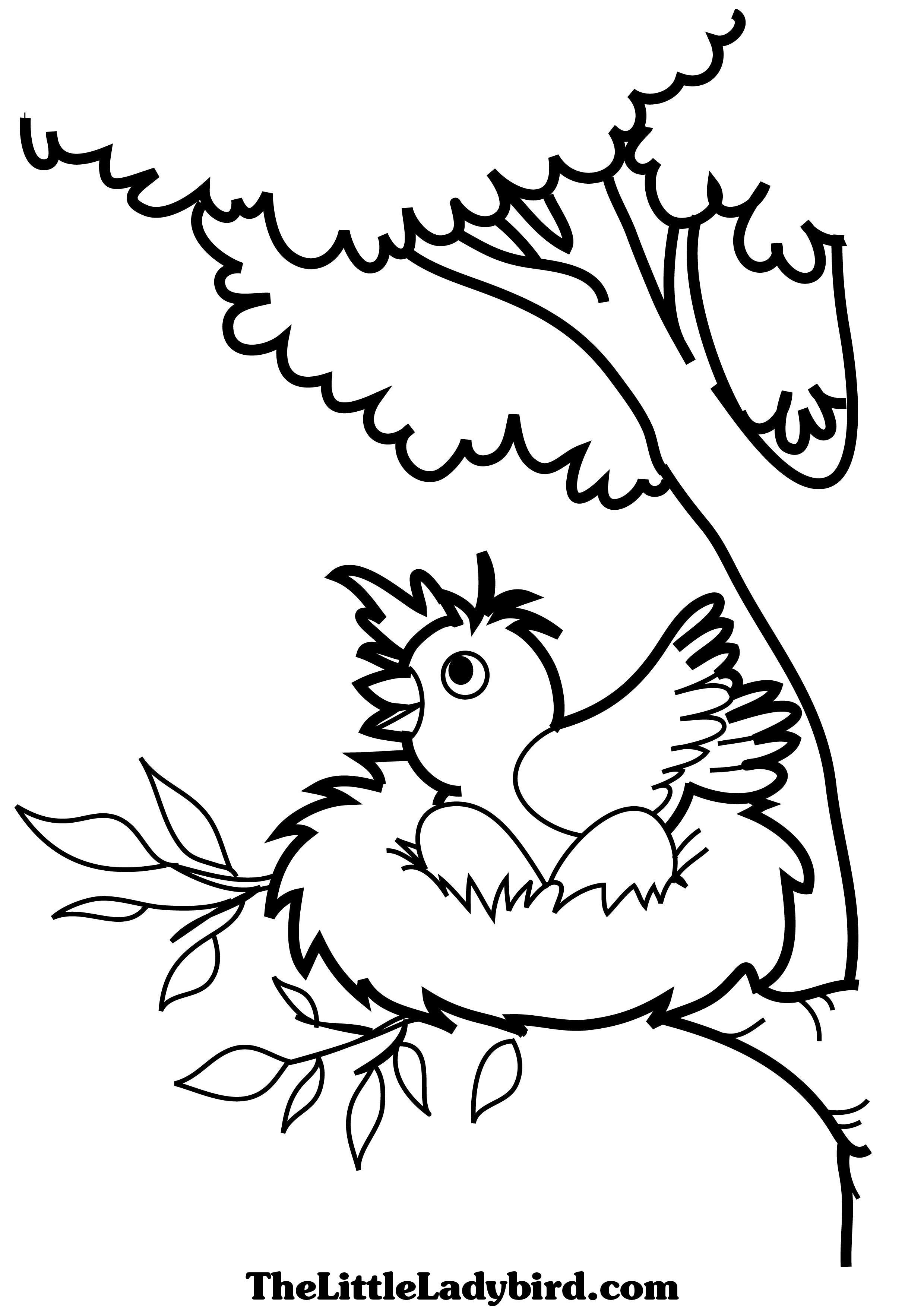 Nest coloring, Download Nest coloring for free 2019