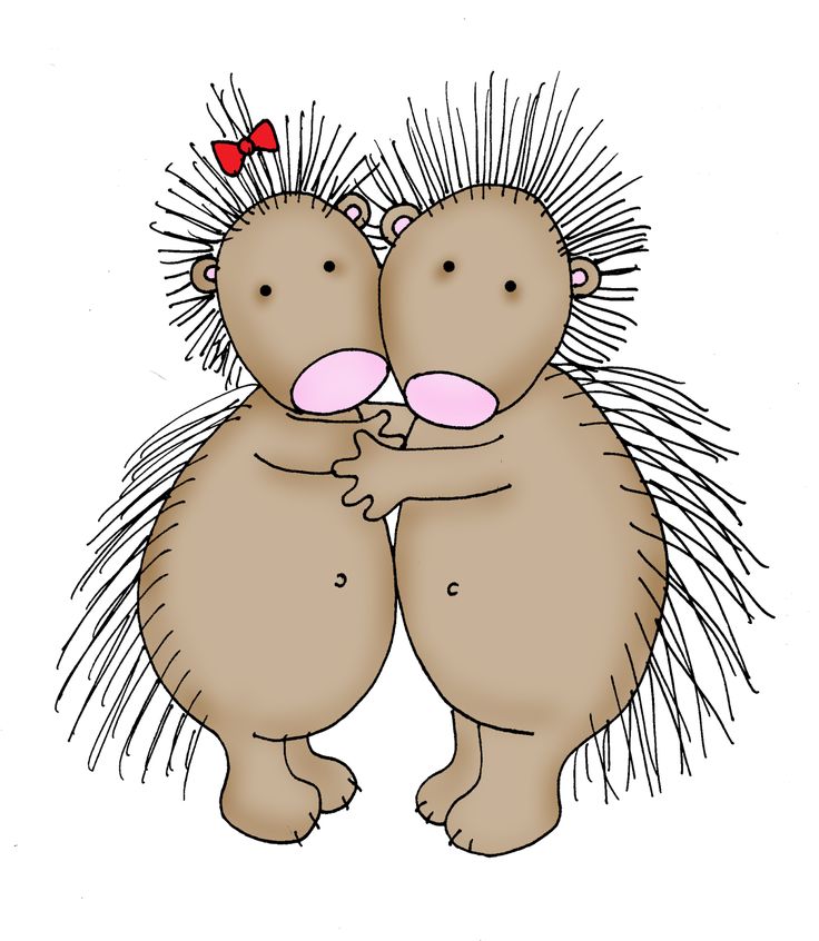 New World Porcupine clipart, Download New World Porcupine clipart for