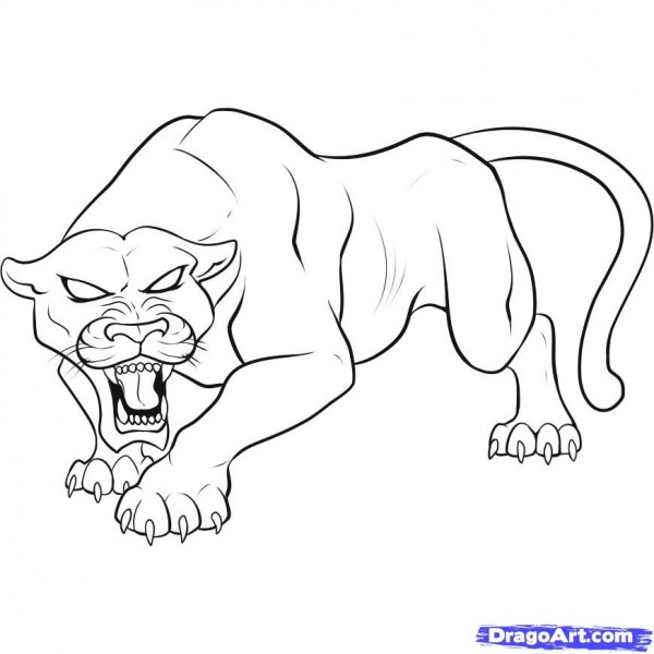 Panther coloring Download Panther coloring for free 2019