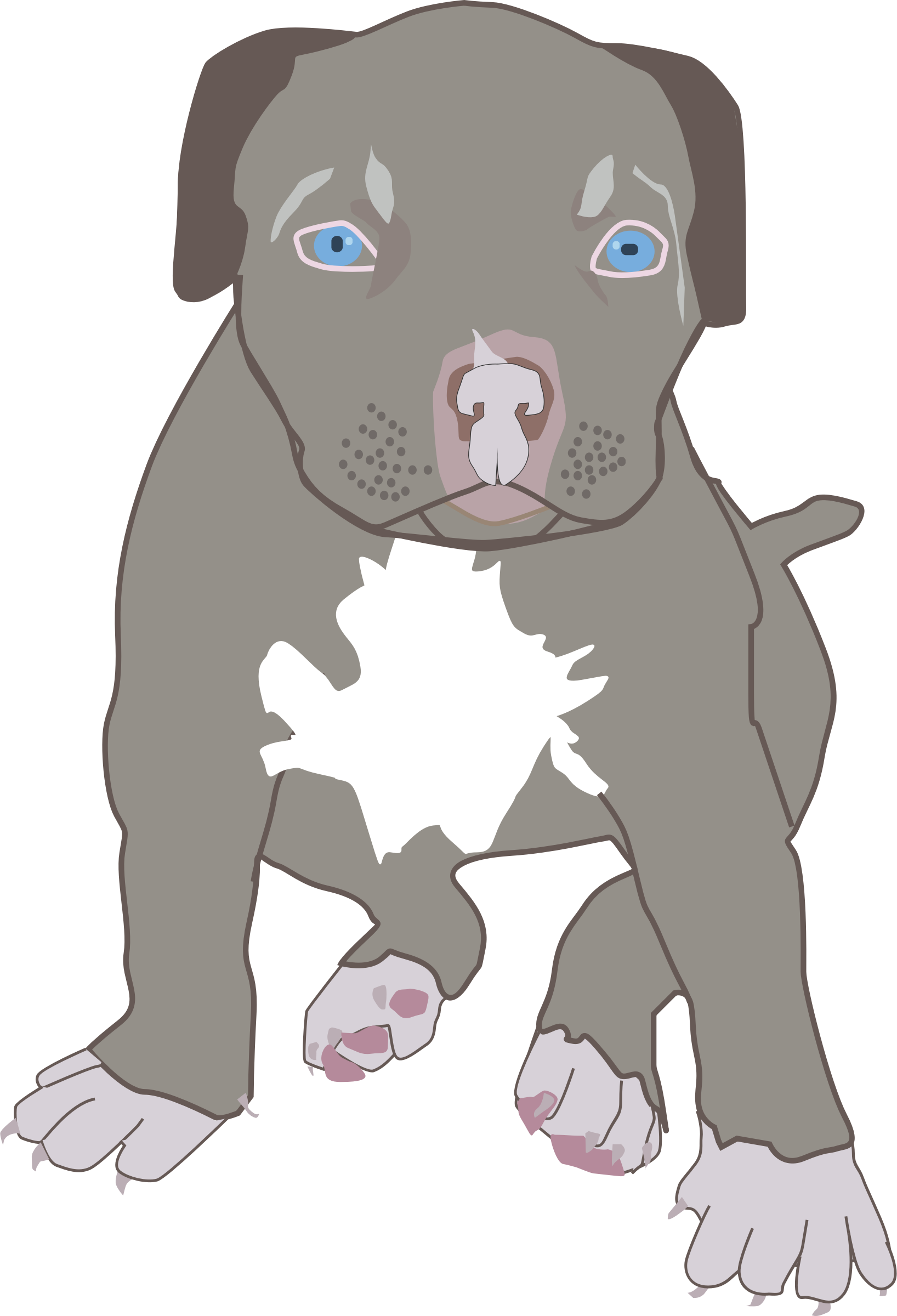 Pitbull Puppy svg, Download Pitbull Puppy svg for free 2019