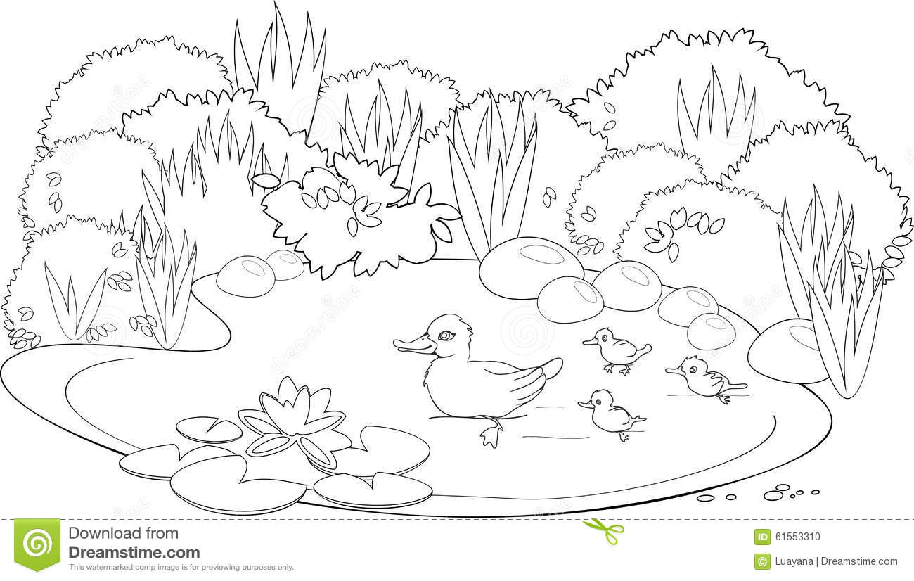 Pond coloring, Download Pond coloring for free 2019