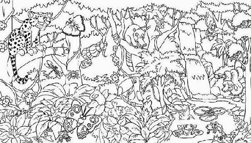 rainforest coloring download rainforest coloring for free