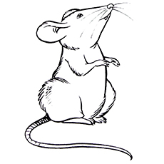 Rat coloring, Download Rat coloring for free 2019