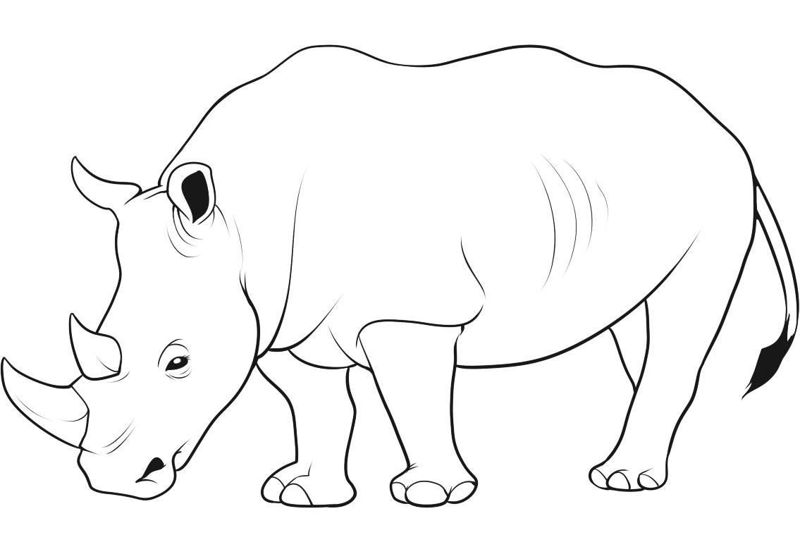 Rhino Coloring Pages - Kidsuki
