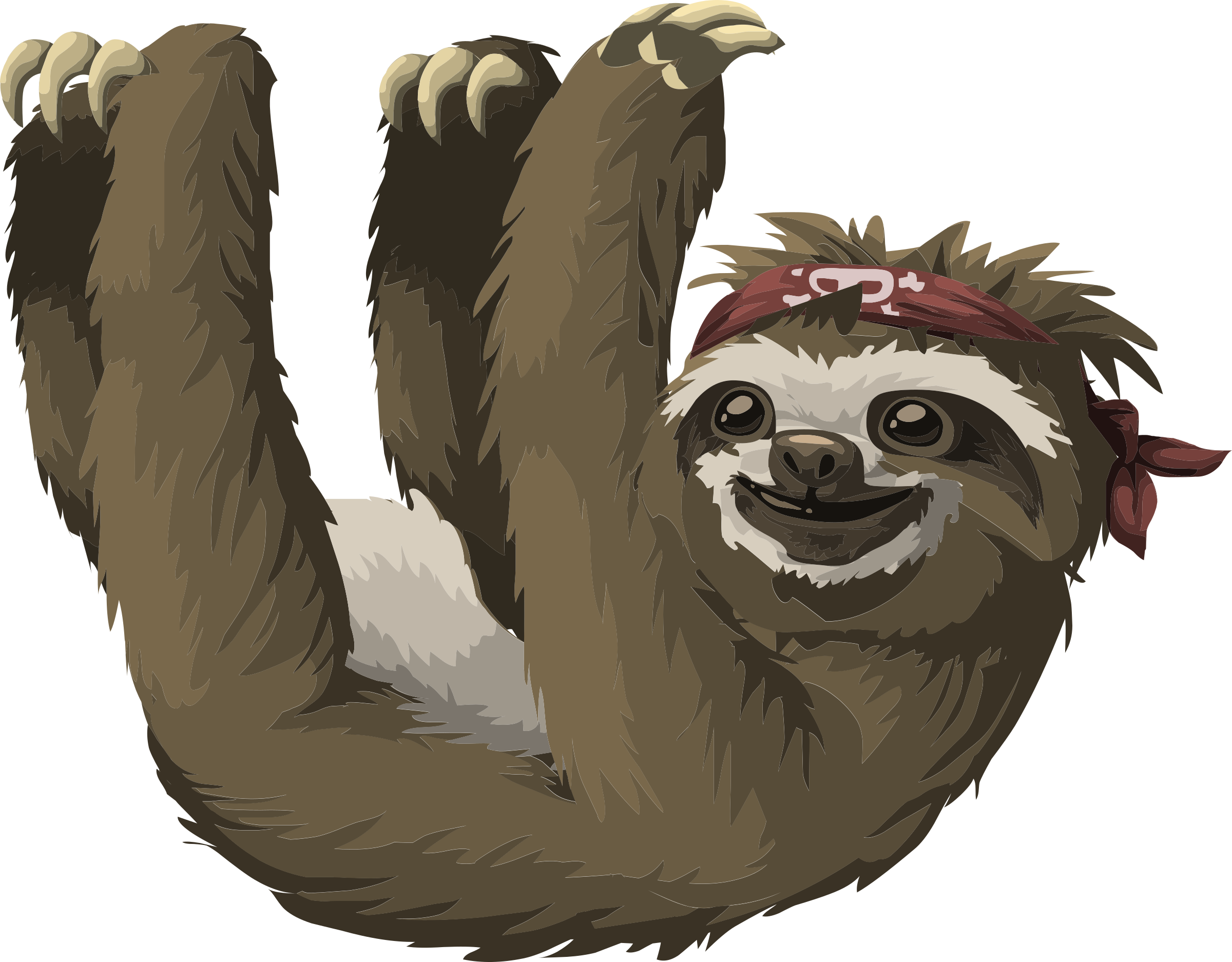 Three Toed Sloth Clipart Download Three Toed Sloth Clipart For Free 2019