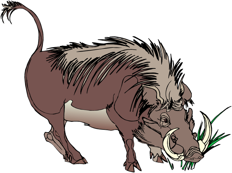Warthog clipart, Download Warthog clipart for free 2019