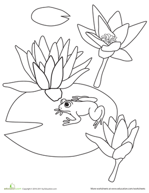 Water Lily coloring, Download Water Lily coloring for free ...