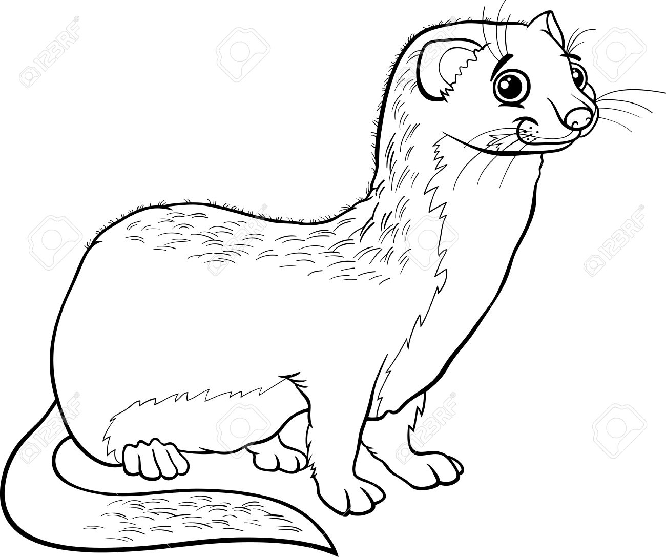 Weasel coloring, Download Weasel coloring for free 2019