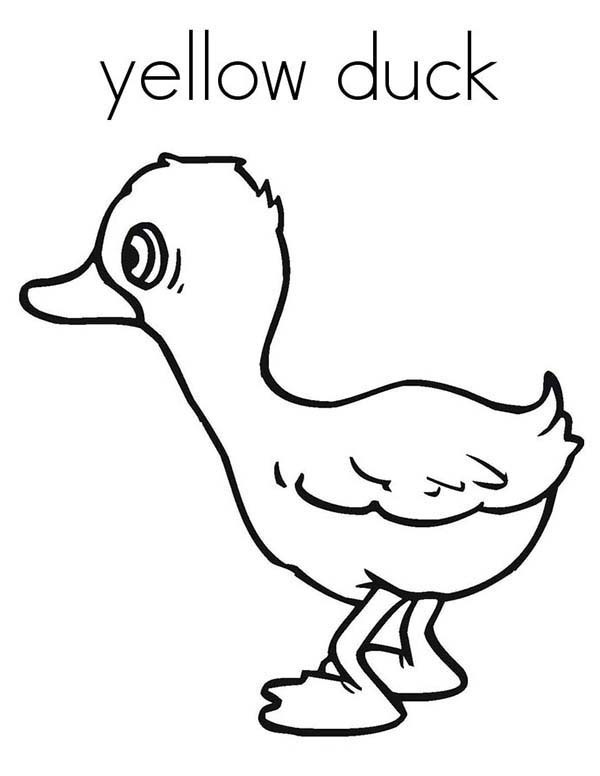 Yellow Coloring Pages For Toddlers Coloring Pages