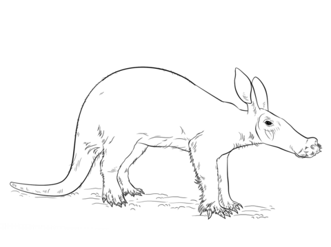 Aardvark coloring #14, Download drawings