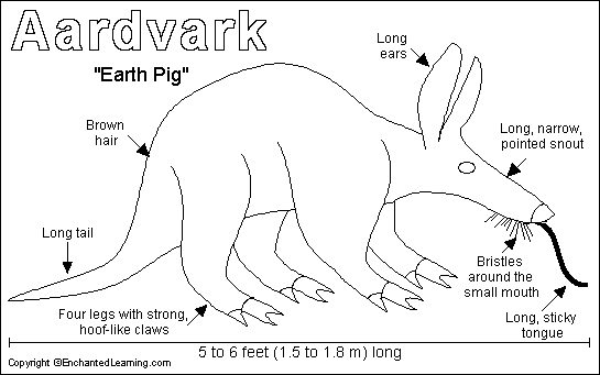 Aardvark coloring #4, Download drawings