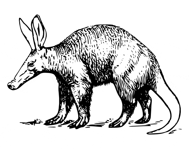 Aardvark coloring #7, Download drawings