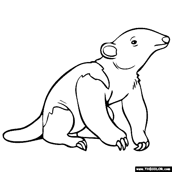 Aardvark coloring #16, Download drawings