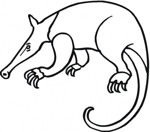 Aardvark coloring #5, Download drawings