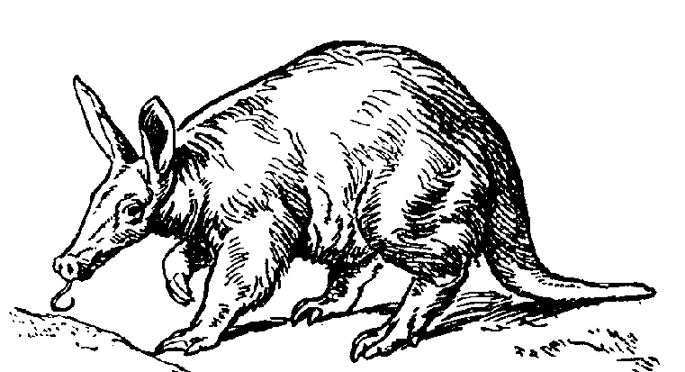 Aardvark coloring #3, Download drawings