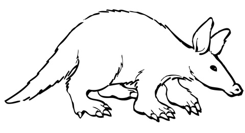 Aardvark coloring #15, Download drawings