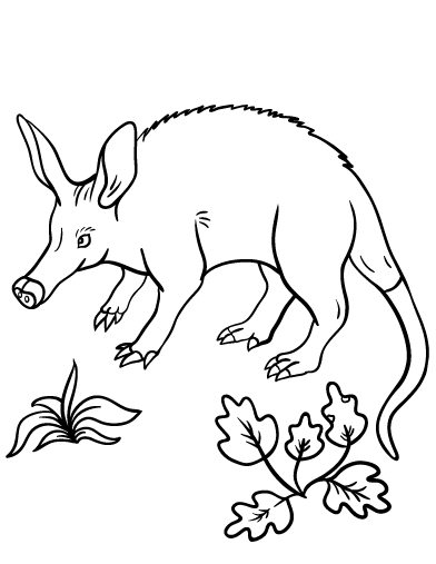 Aardvark coloring #17, Download drawings