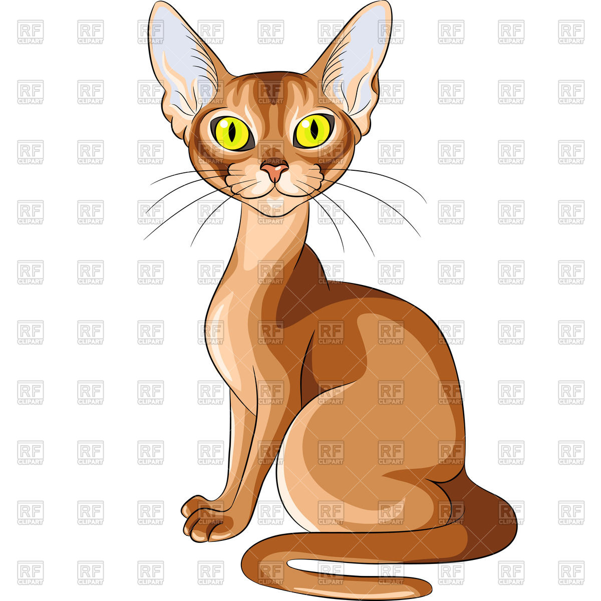 Abyssinian Cat clipart #12, Download drawings