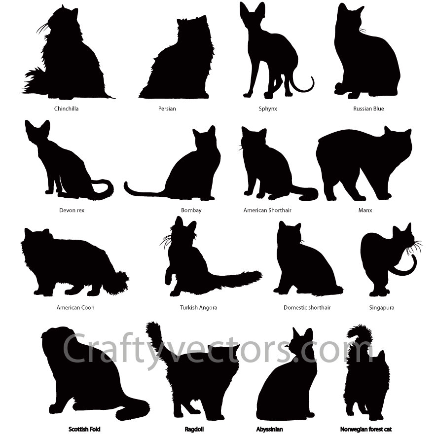 Abyssinian Cat svg #4, Download drawings