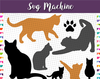 Abyssinian Cat svg #18, Download drawings