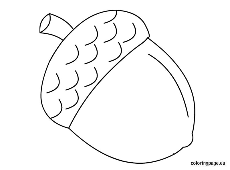 Chestnut coloring #6, Download drawings